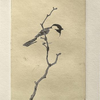 Joel Ostlind - Chickadee