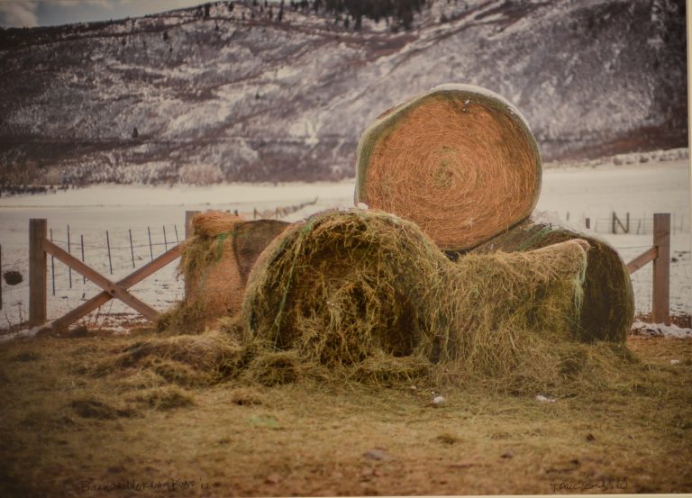 Tom Korologos - Basalt Morning Buns