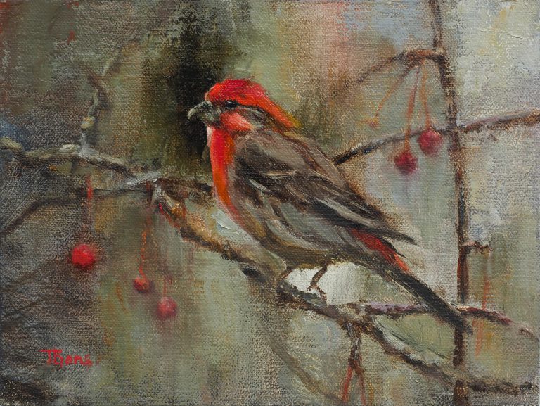 Tanya Bone - House Finch