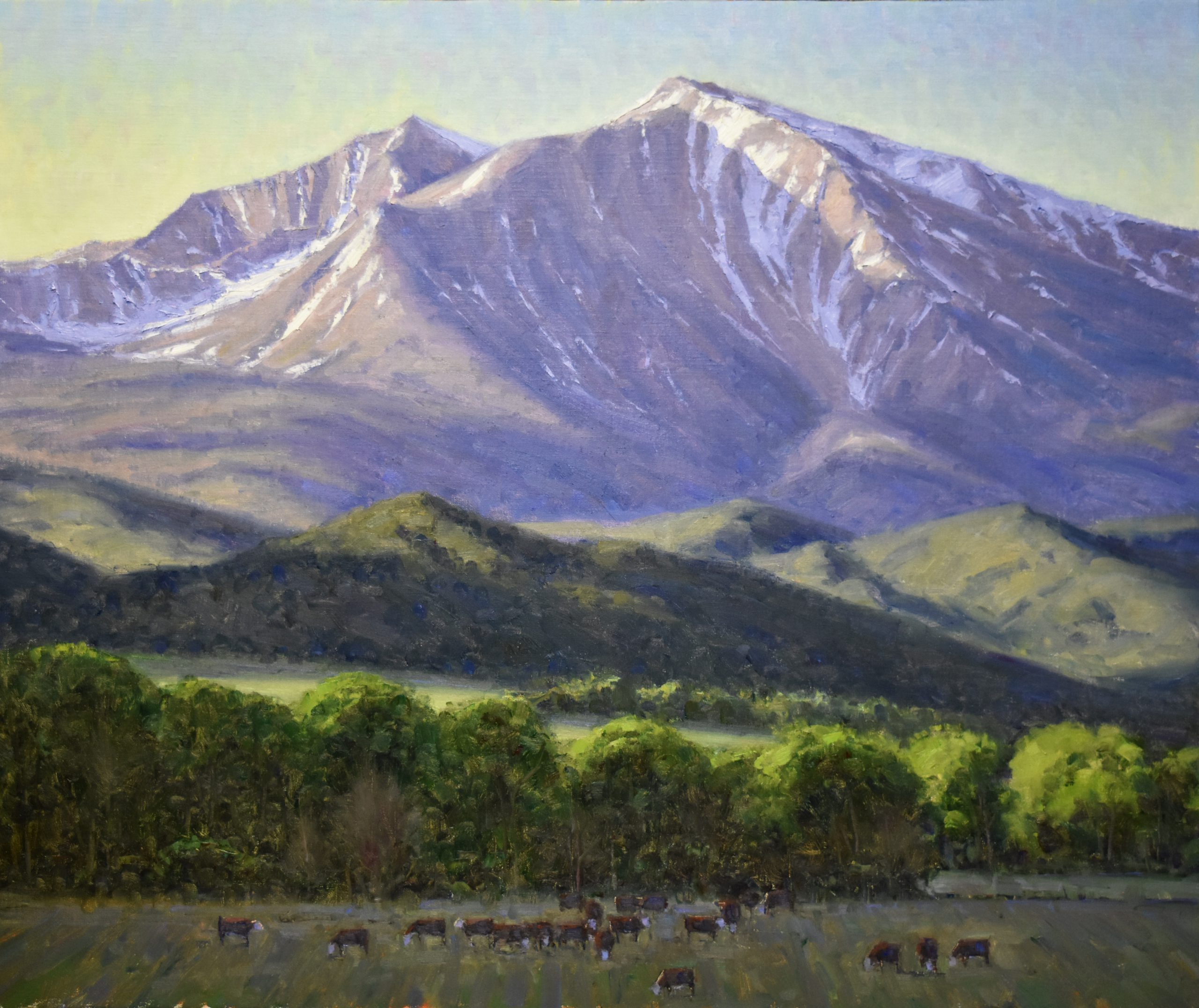 Dan Young - June Below Sopris