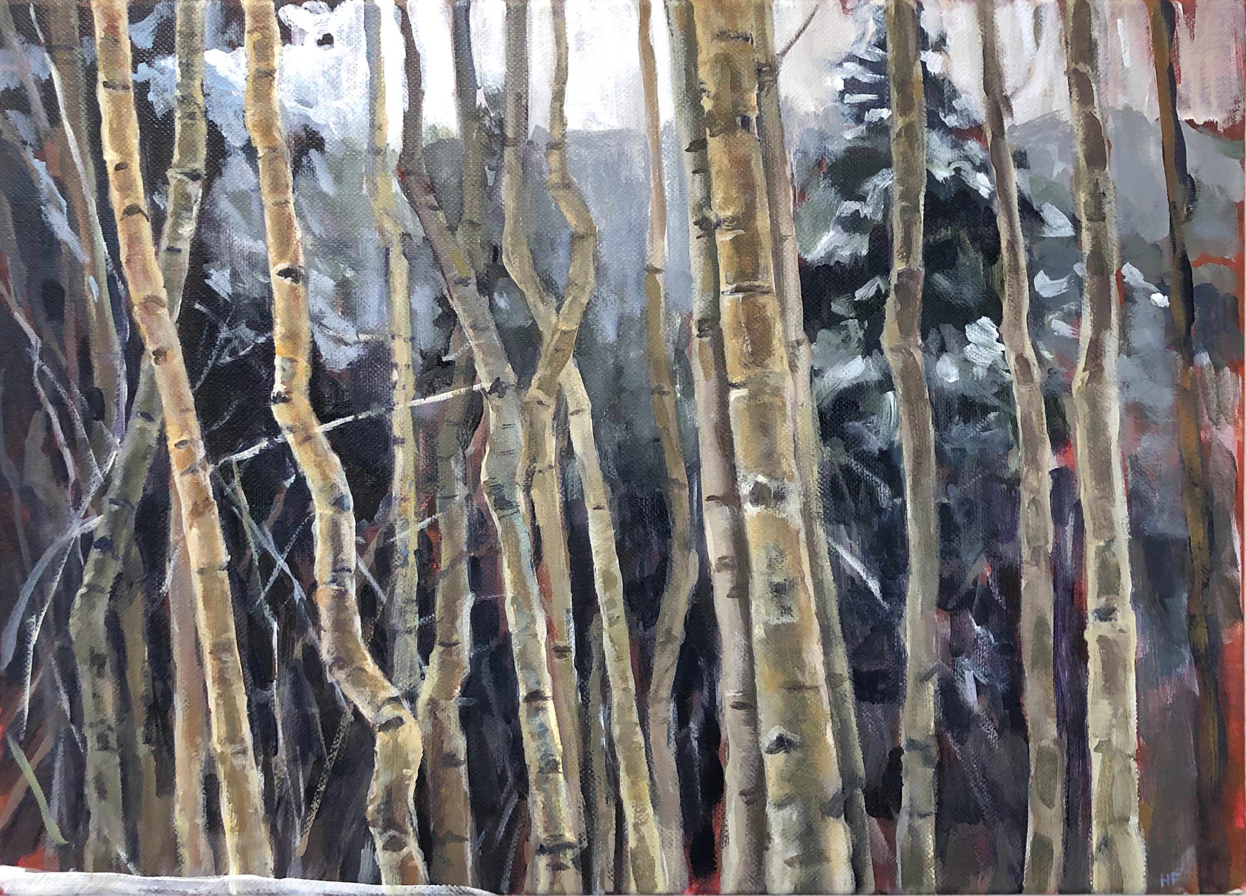 Heather Foster - Aspens in Snow