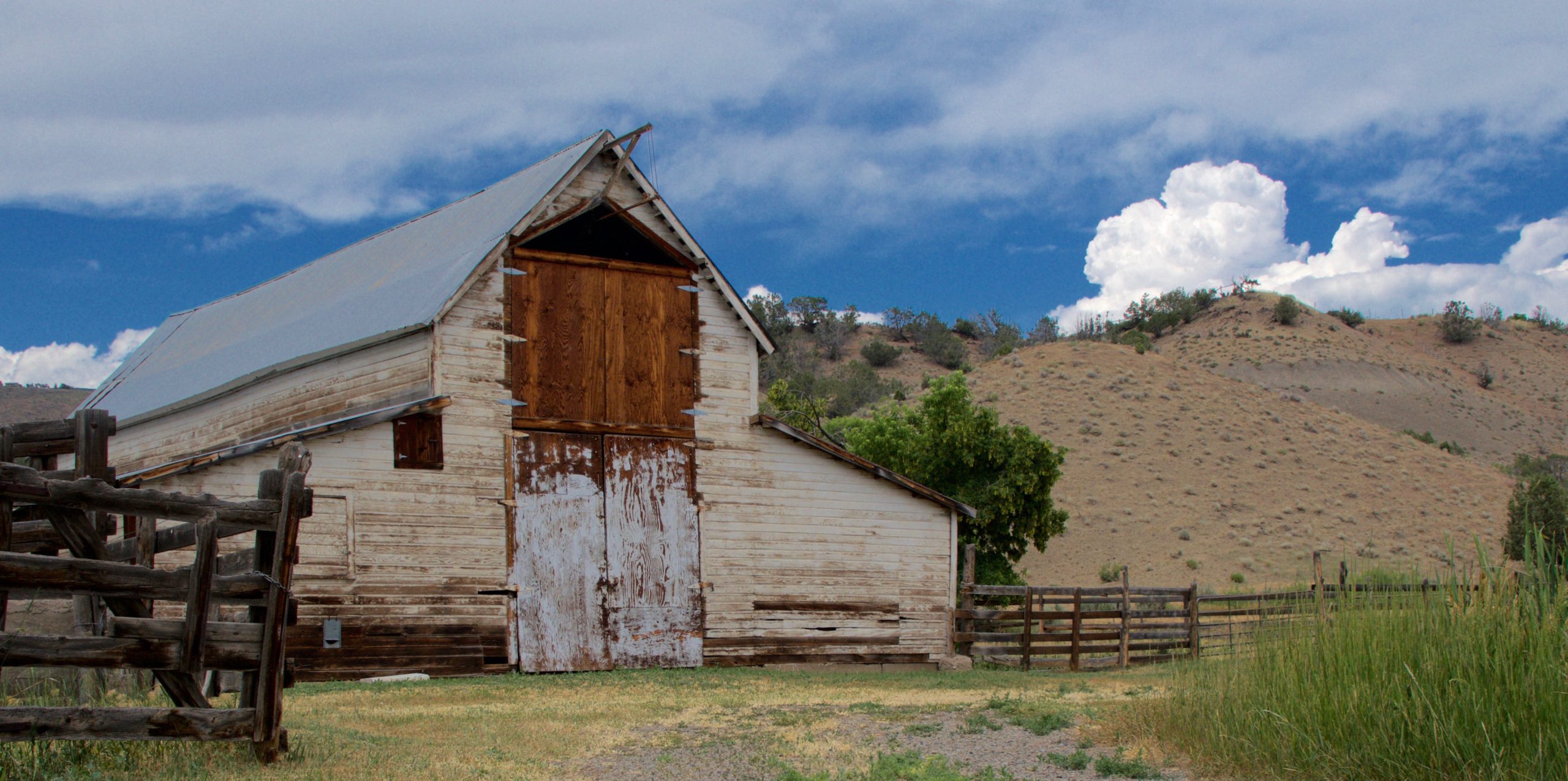 Sandra Lee Kaplan  - White Barn