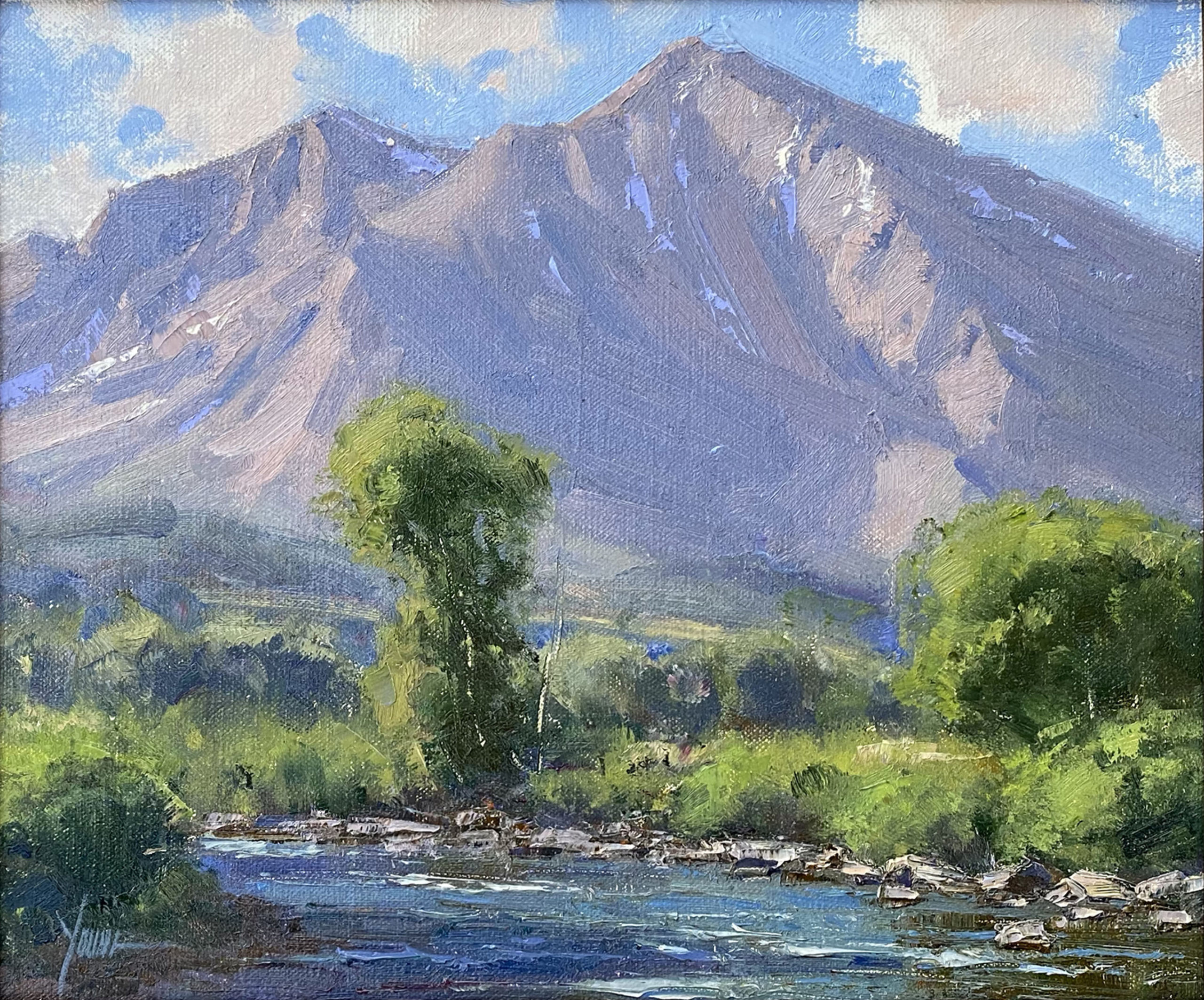 Dan Young - Mount Sopris Summer