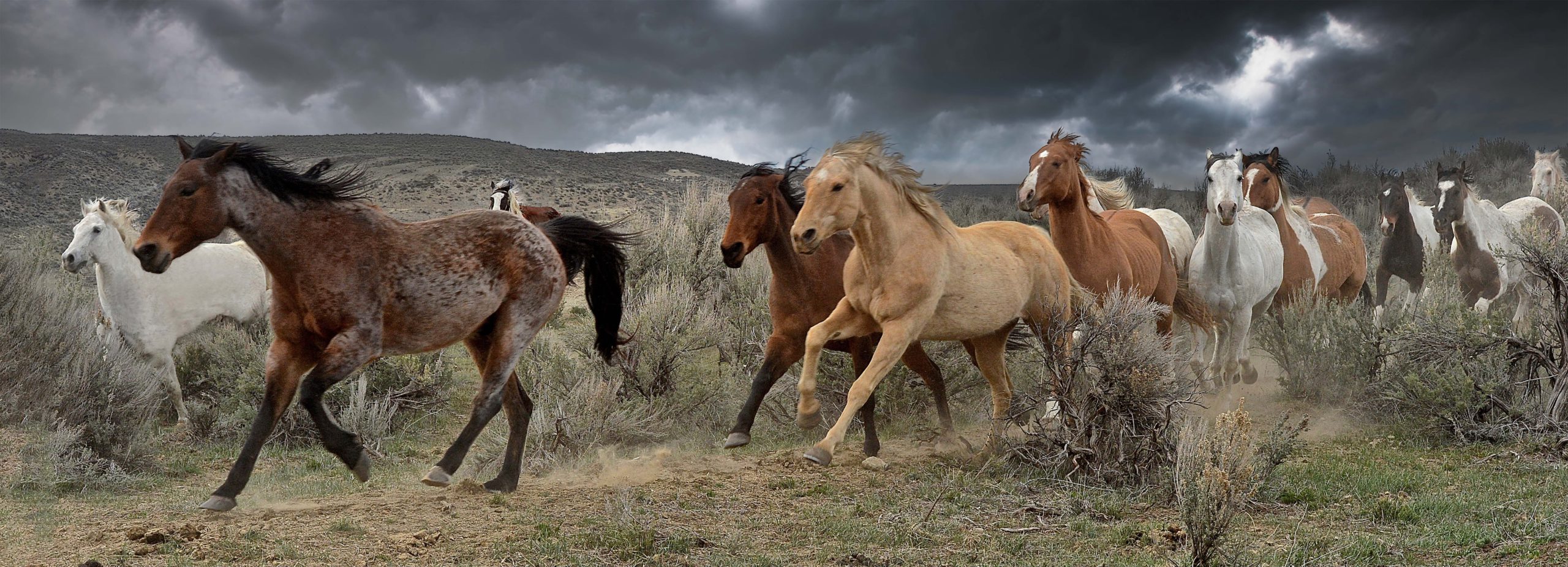 Sandra Lee Kaplan, Running from the Storm art