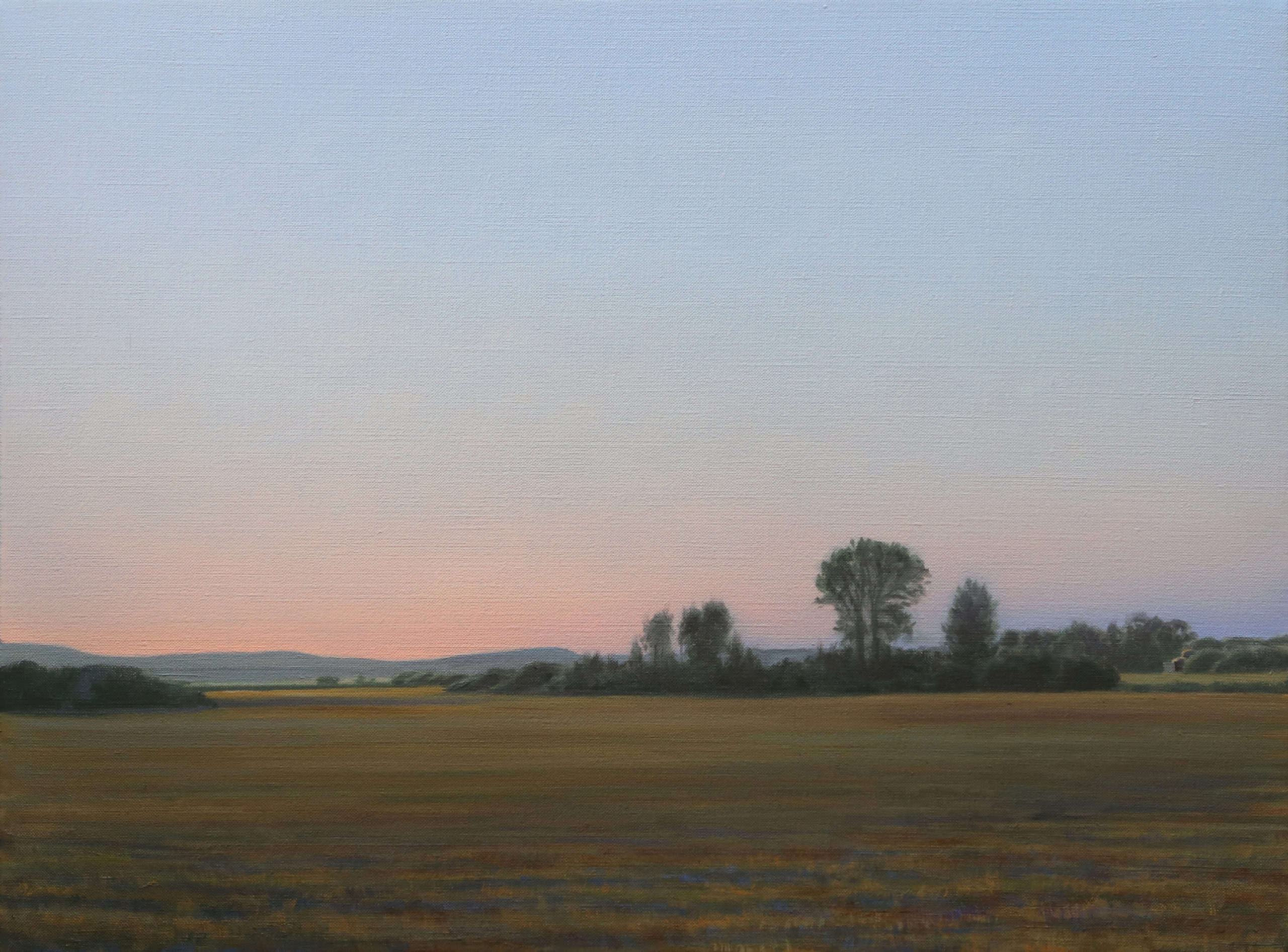 Linda Lillegraven - McGill's Hay Fields