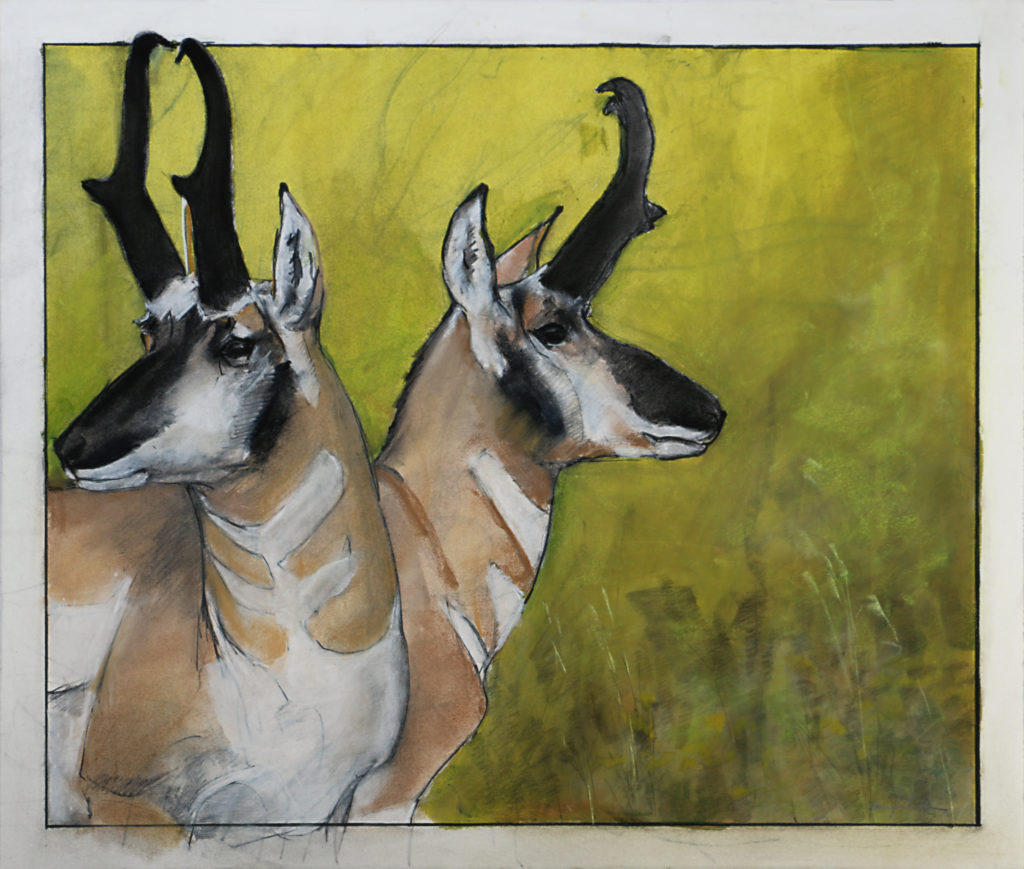 Donna Howell-Sickles, Pronghorns art