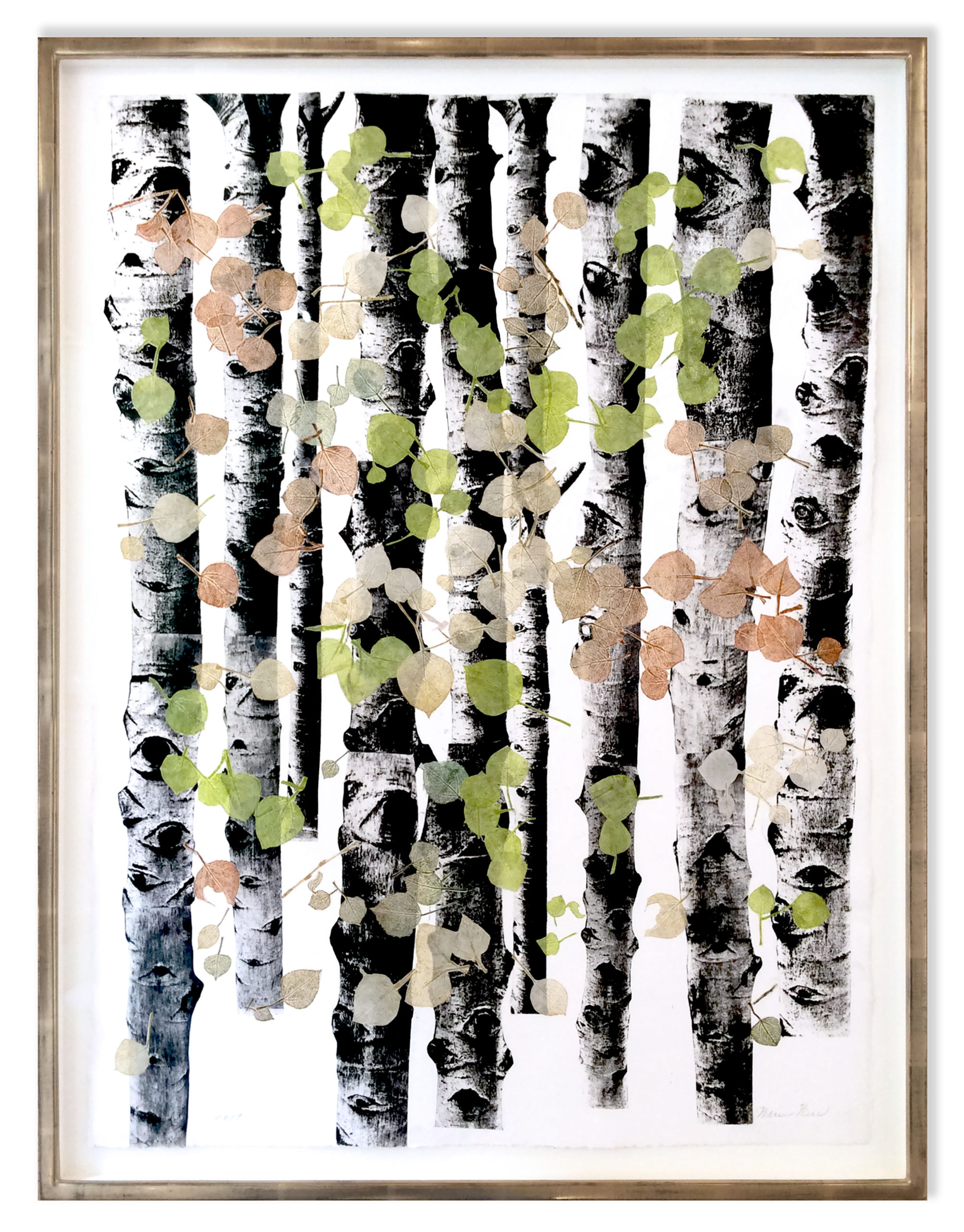 Marie Figge Wise - Aspen Tree Grove