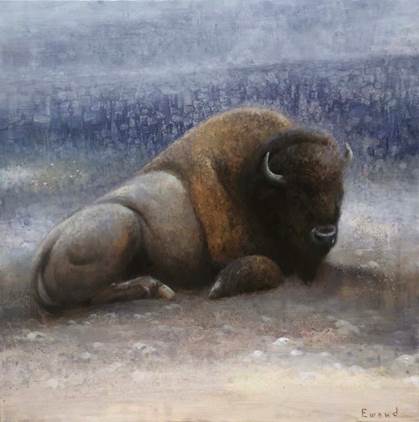 Ewoud de Groot - Resting Bison